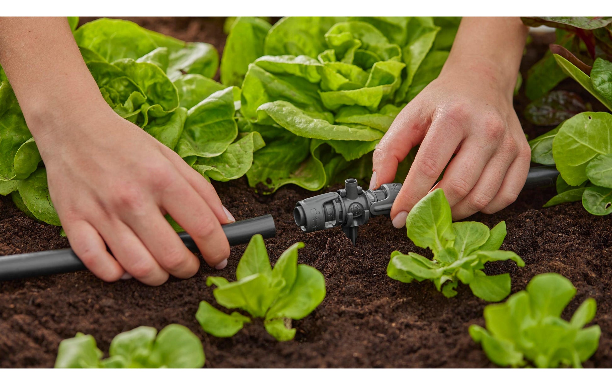 Gardena Micro-Drip-System Knotenverbinder – 13 mm, Kunststoff, schwarz, für Tropfbewässerungssystem