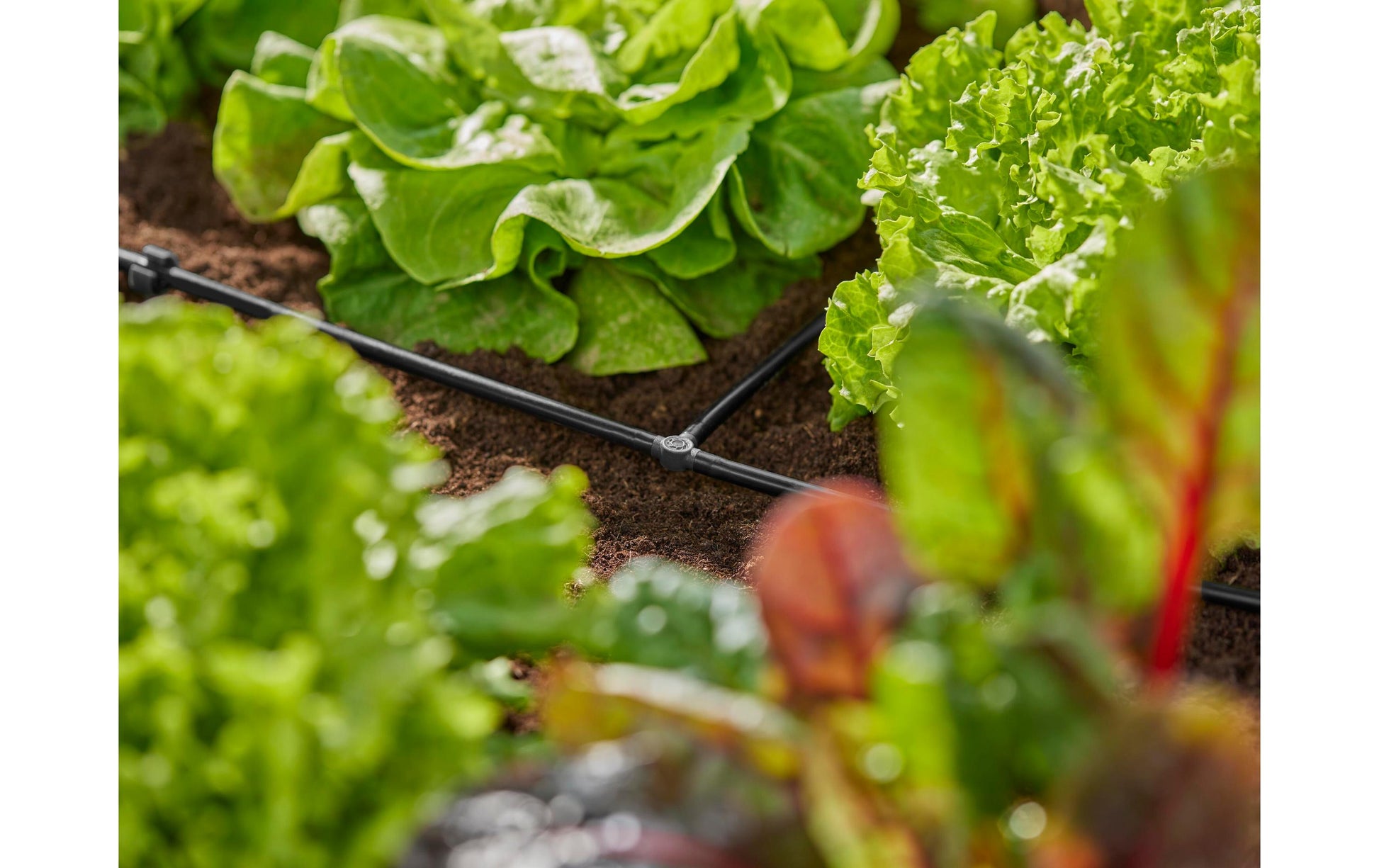 Gardena T-Stück – Ø 4,6 × 36 mm, Kunststoff, Grau, 10 Stk., für Micro-Drip-System