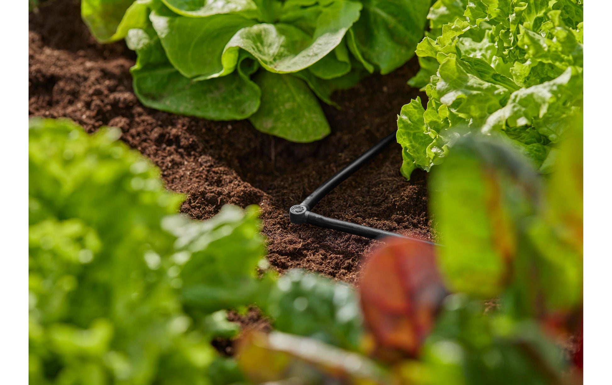Gardena Knotenverbinder – Schlauch Ø 4,6 mm, 23 mm, Grau, 1 Stk. – für Micro-Drip-System
