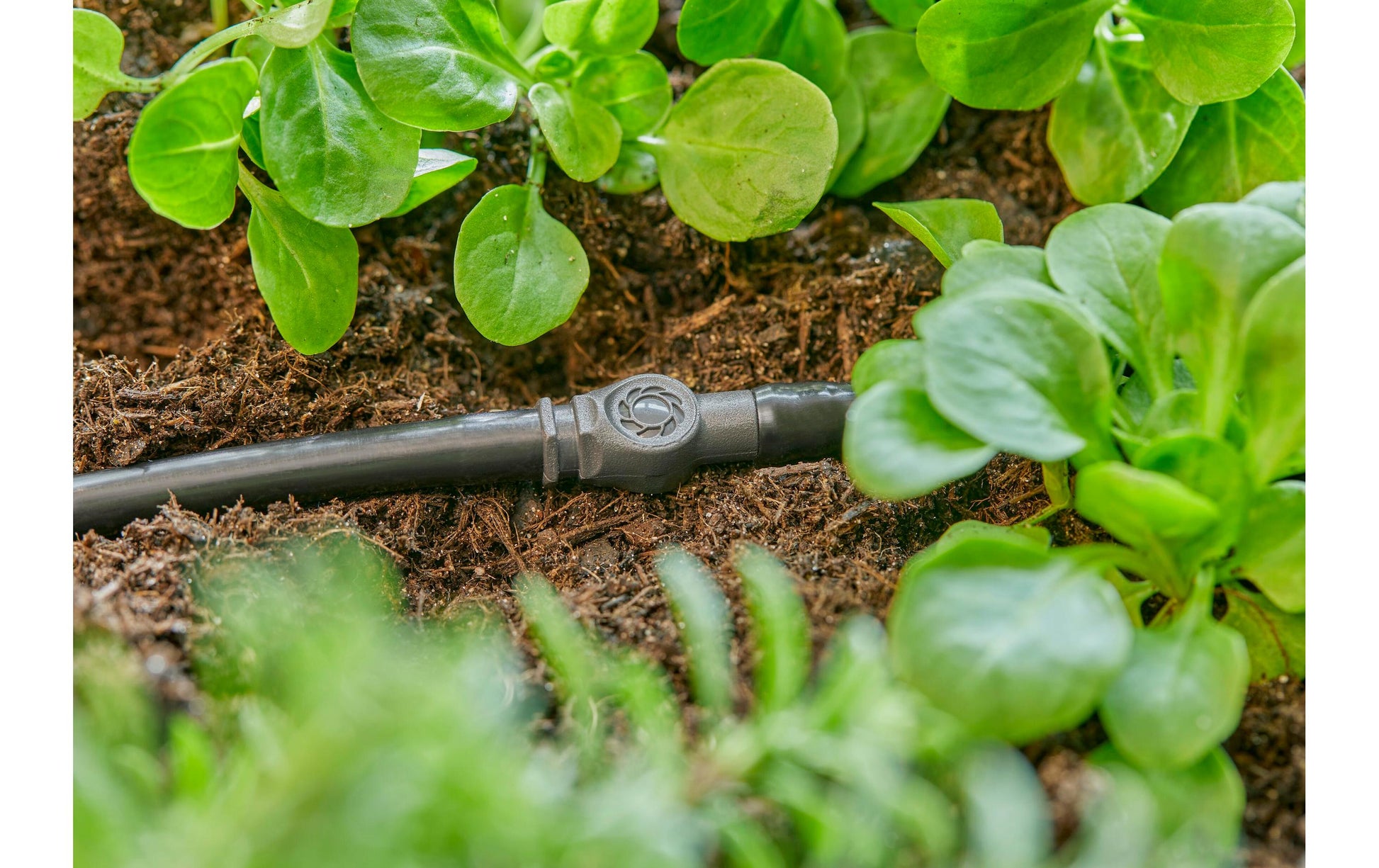 Gardena Micro-Drip-System Schlauchanschluss 4,6 mm Kunststoff – 10 Stk