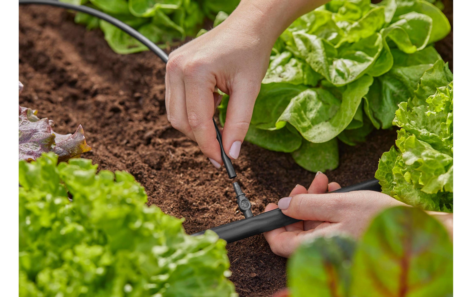 Gardena Micro-Drip-System Schlauchanschluss 4,6 mm Kunststoff – 10 Stk