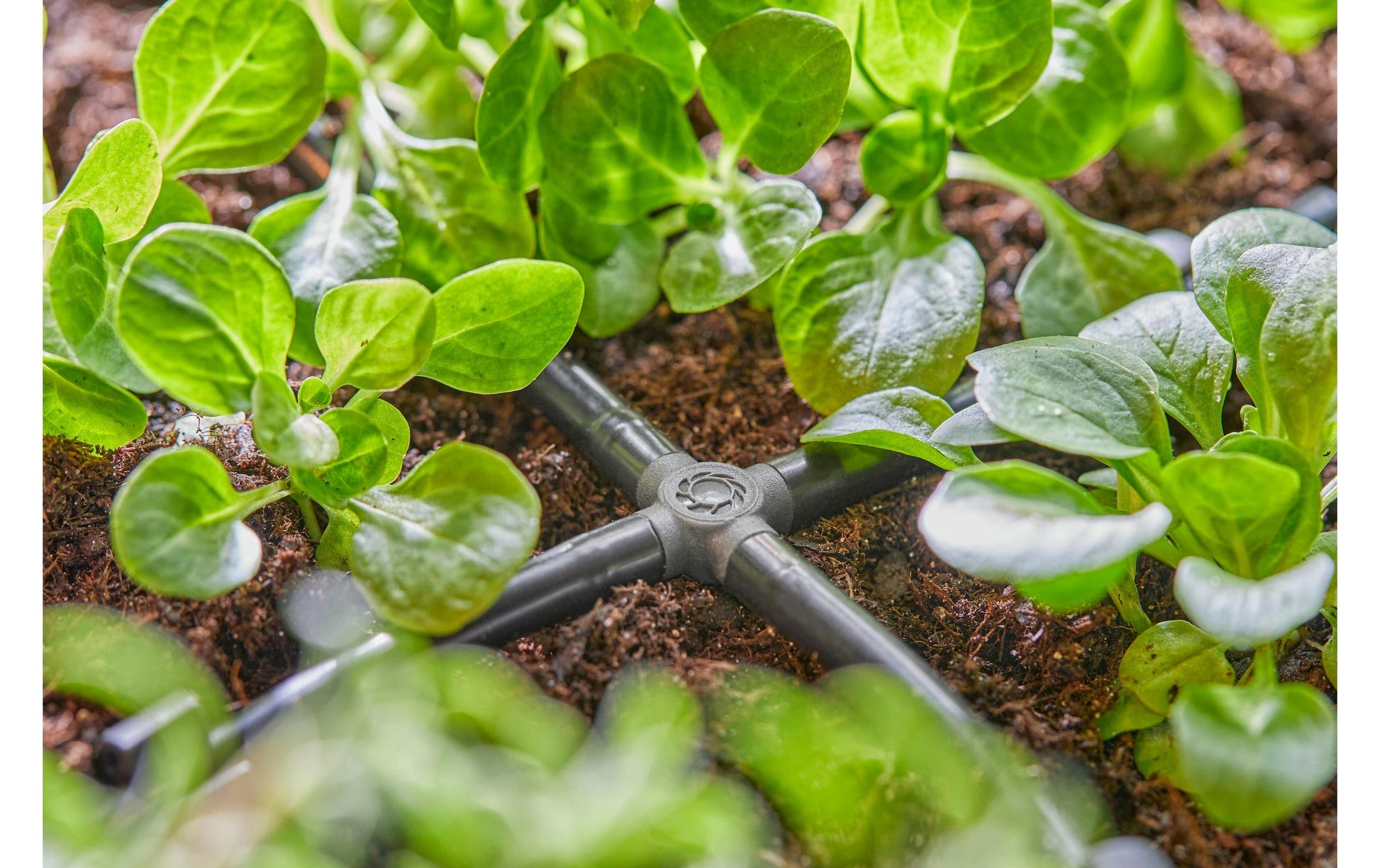 Gardena Schlauchanschluss 4,6 mm Kunststoff – 10 Stk – für Gardena Micro-Drip-System