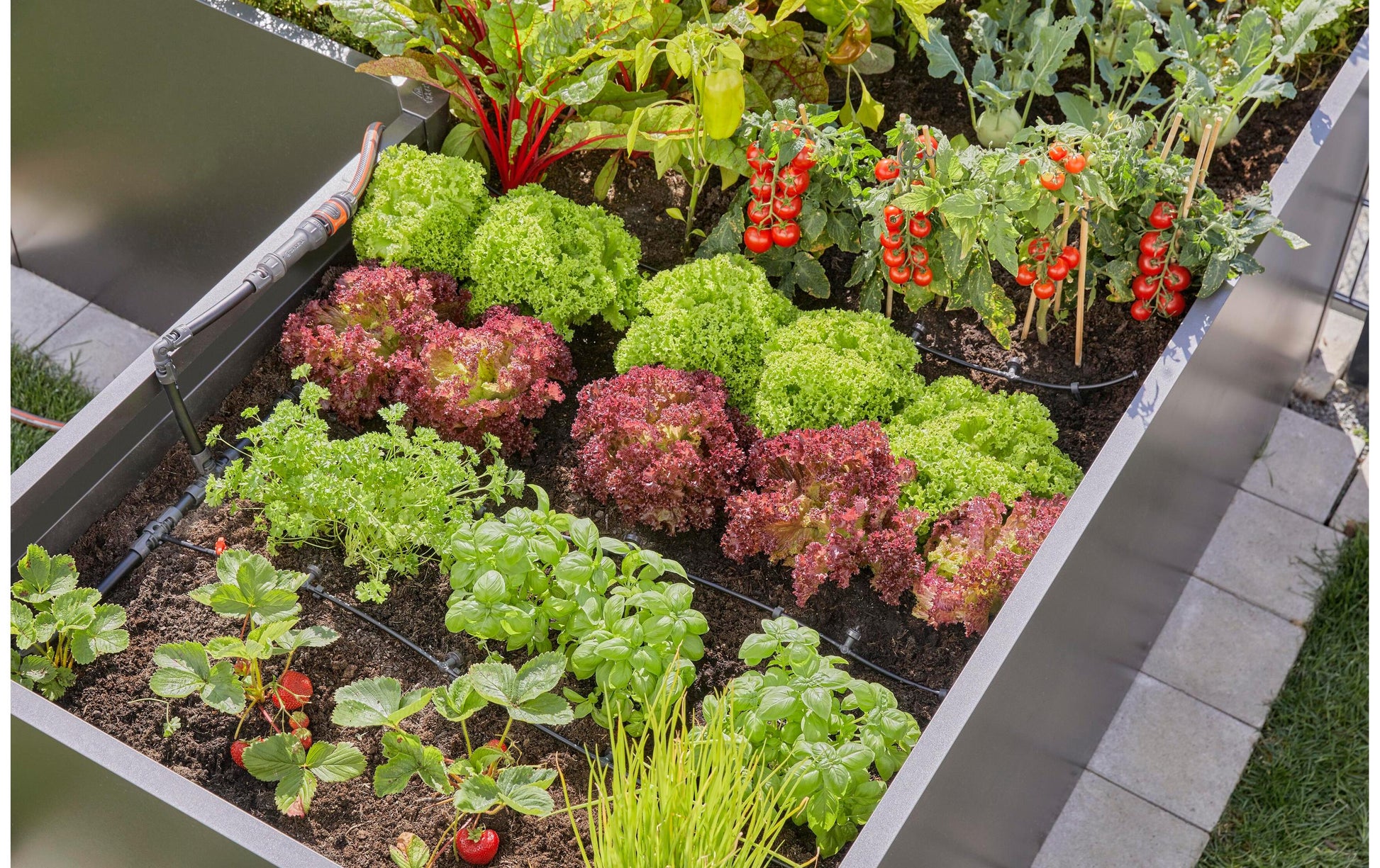 Gardena Tropfbewässerungs-Set 15 m Schlauch – Kunststoff – Grün, Schwarz – 13455-20