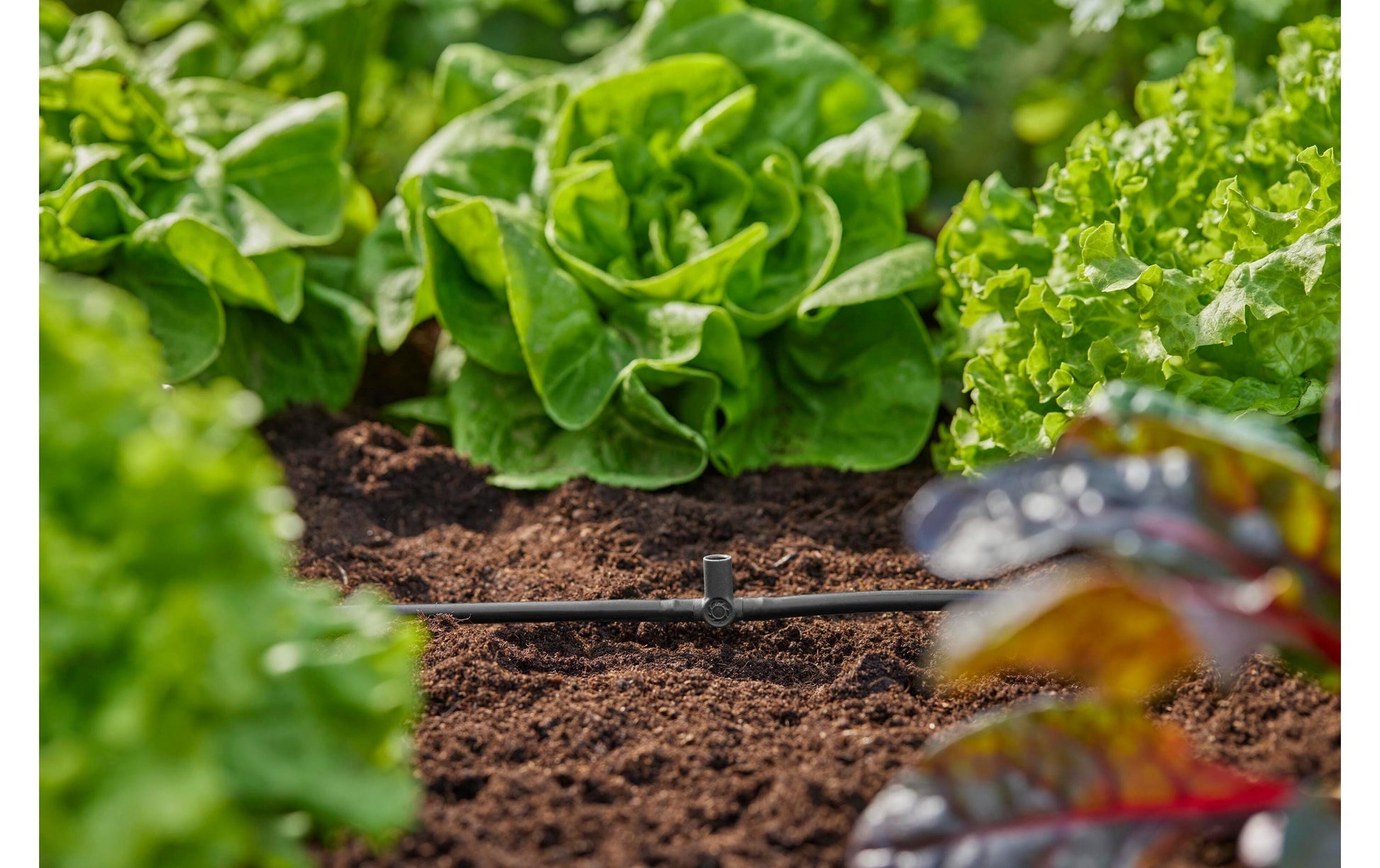 Gardena T-Stück Micro-Drip-System – Länge 3,6 cm, für 4,6 mm Schläuche, Kunststoff, Grau, 1 Stück