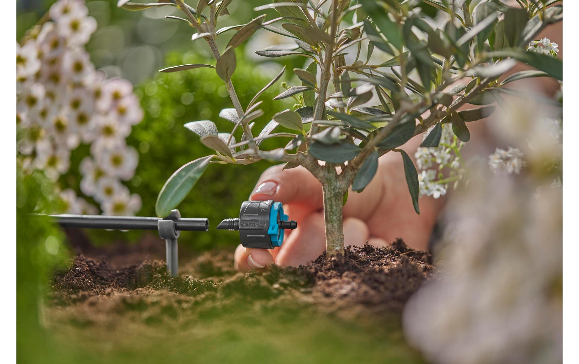 Gardena Endtropfer – 41 mm, Kunststoff, Grau/Türkis, 1–8 l/h, für Micro-Drip-System