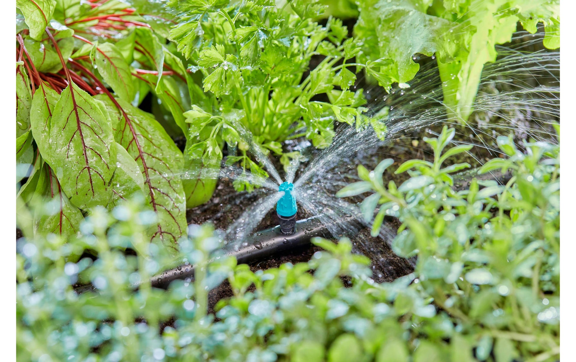 Gardena Endkleinflächendüse – 46 mm, Kunststoff, schwarz/grün, für Micro-Drip-System