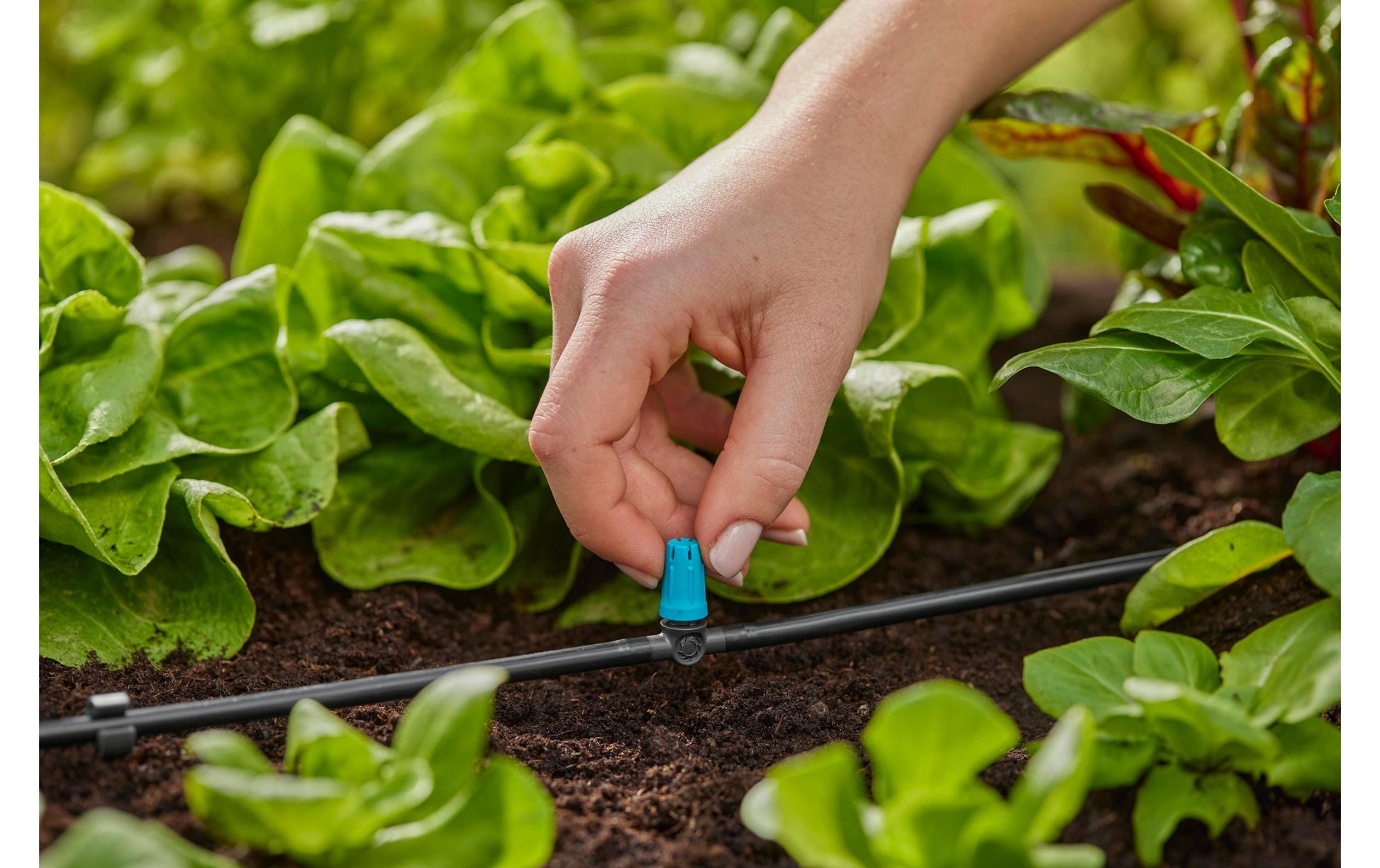 Gardena Kleinflächendüse 42 mm Kunststoff – für Tropfbewässerungssystem – 1 Stk – für Micro-Drip-System