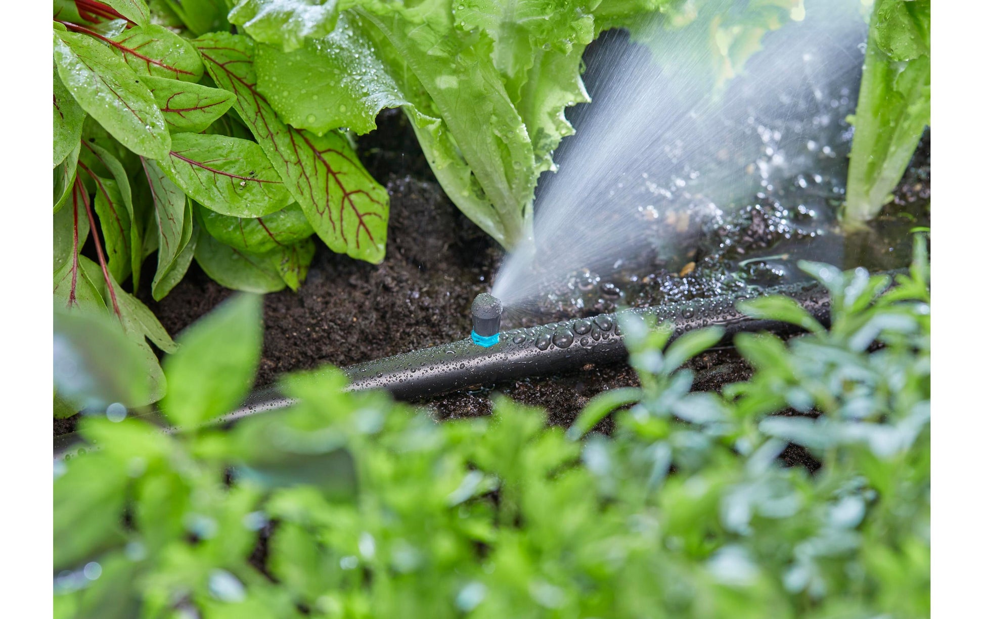 Gardena Endstreifendüse 30 mm Kunststoff – 5 Stk – Endzeilenmontage – für Micro-Drip-System