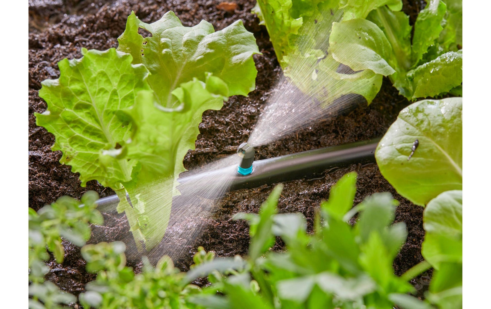 Gardena Streifendüse – 30 mm, Kunststoff, Grau/Türkis, 5 Stk., für Micro-Drip-System