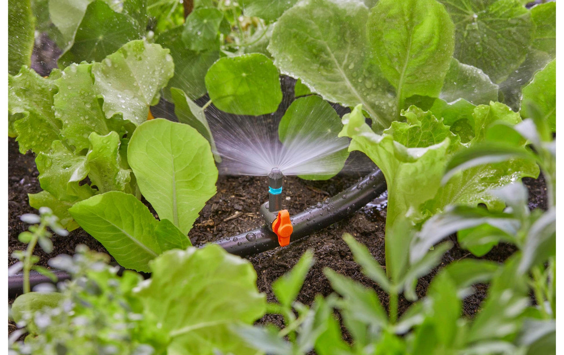 Gardena Sprühausguss – Länge 30 mm, 180° Sprühdüse, 2,75 m, Kunststoff, Schwarz/Grün, für Tropfbewässerung