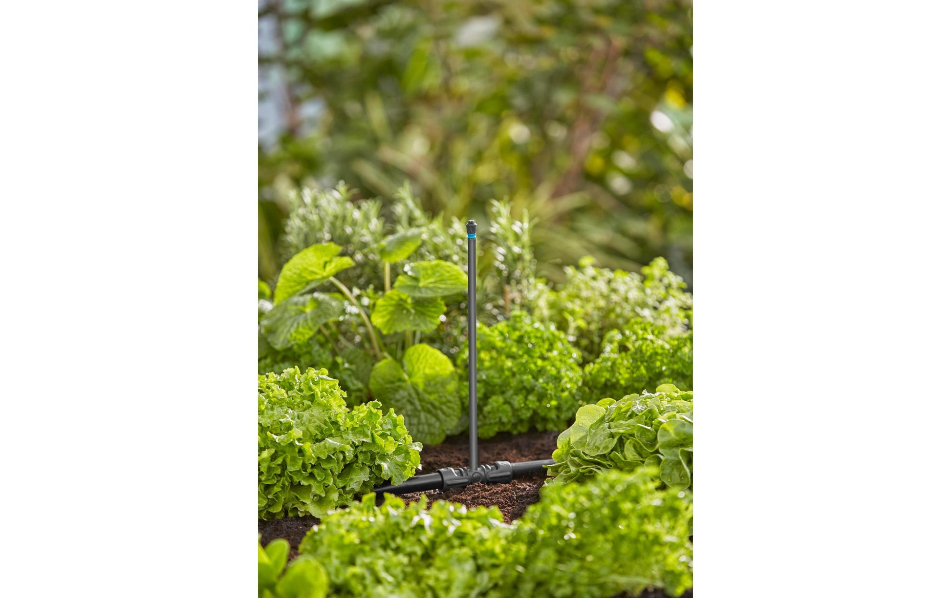 Gardena Micro-Drip-System Sprühdüse 30 mm Kunststoff – 1 Stk – 360°