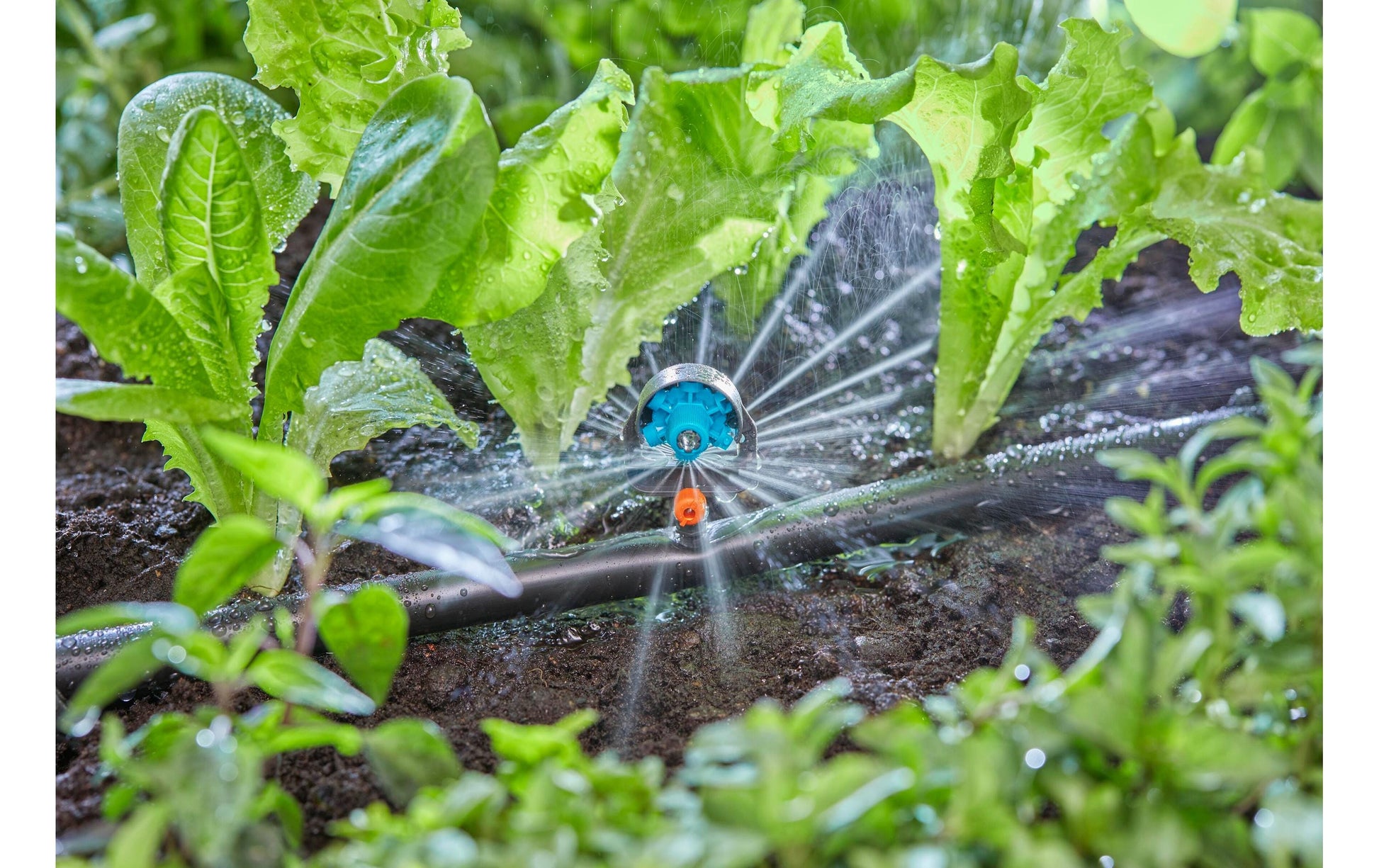 Gardena 6-in-1 Sprühdüse – 34 mm, Kunststoff, Grau/Türkis/Orange, Endzeilenmontage, für Micro-Drip-System