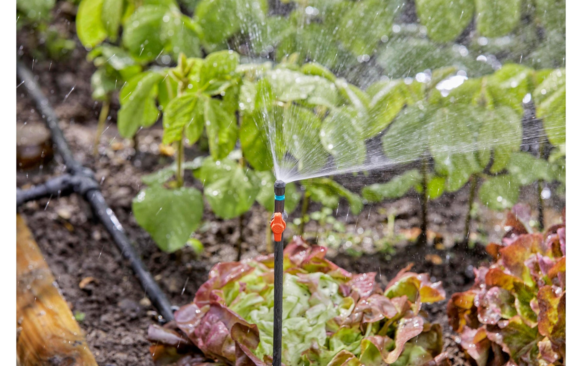 Gardena Verlängerungsrohr – 200 mm, Kunststoff, Grau/Schwarz, 5 Stk., für Micro-Drip-System