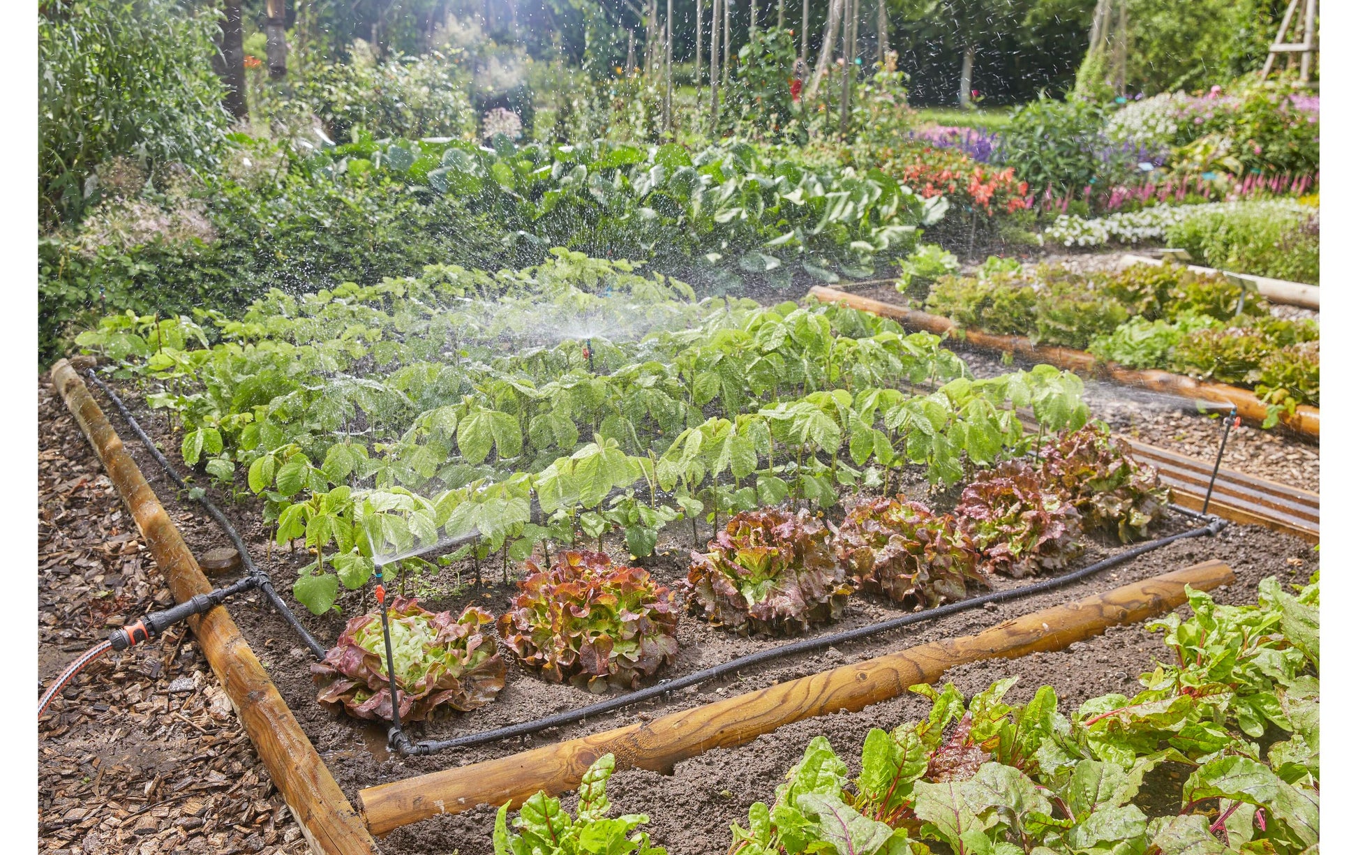Gardena 13450-20 Micro-Drip-System – Schlauchlänge 25 m, Kunststoff – für Gemüse- & Blumenbeet