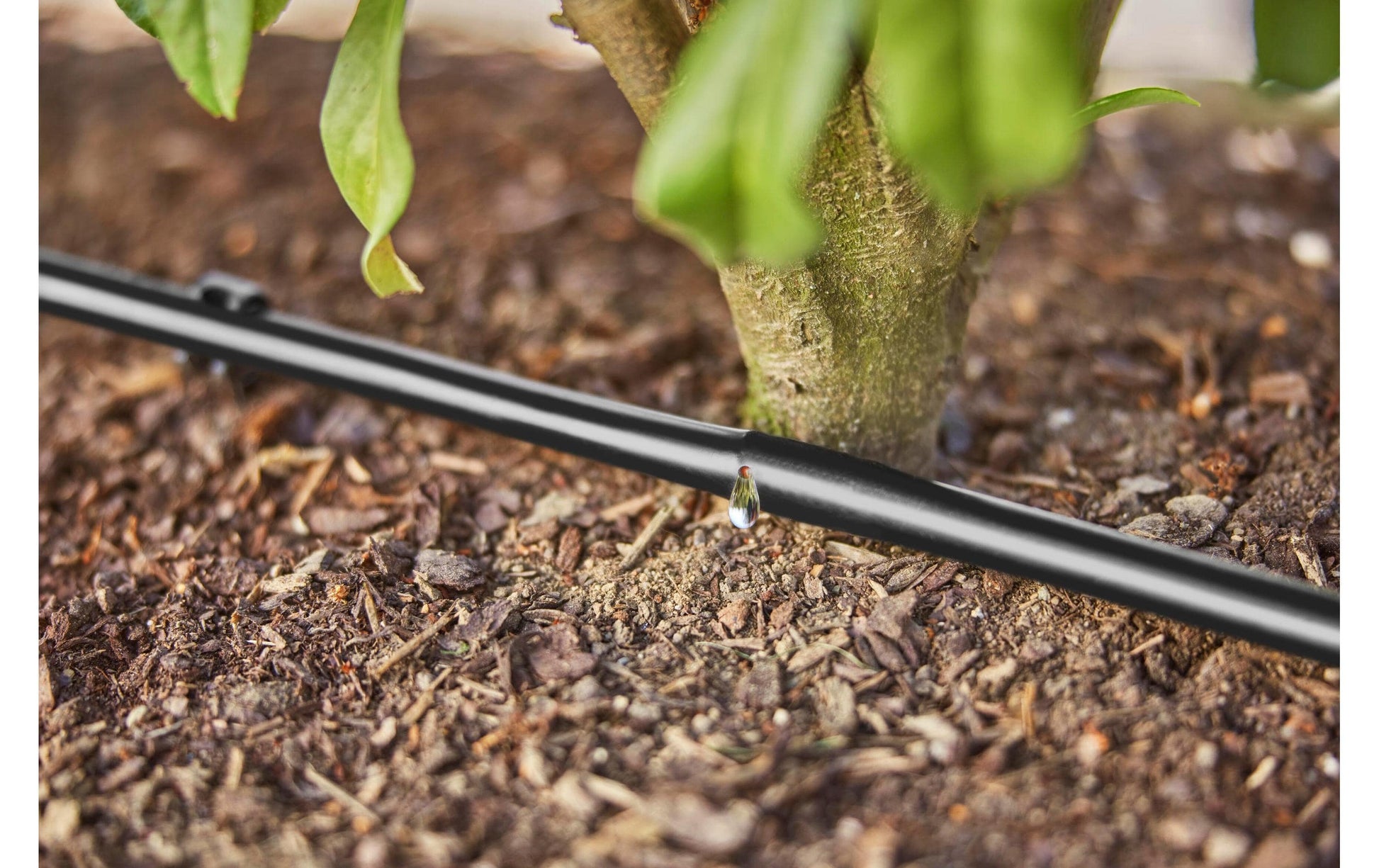 Gardena Micro-Drip-System – Schlauchlänge 25 m, Kunststoff, Weiss/Türkis, mit Druckregler