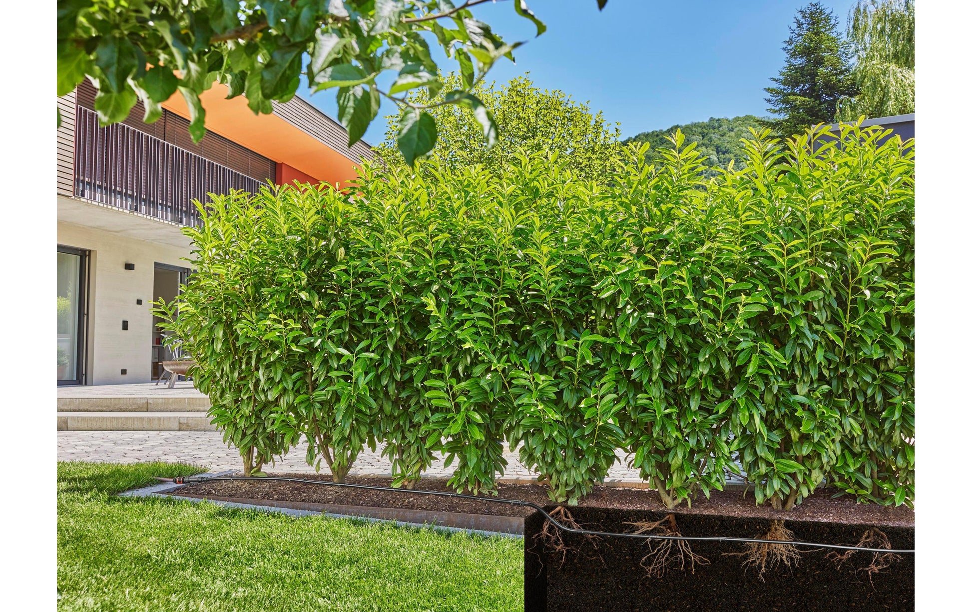 Gardena Micro-Drip-System – Tropfrohr 1,6 l/h, 50 m, Kunststoff, Schwarz, für Micro-Drip-System