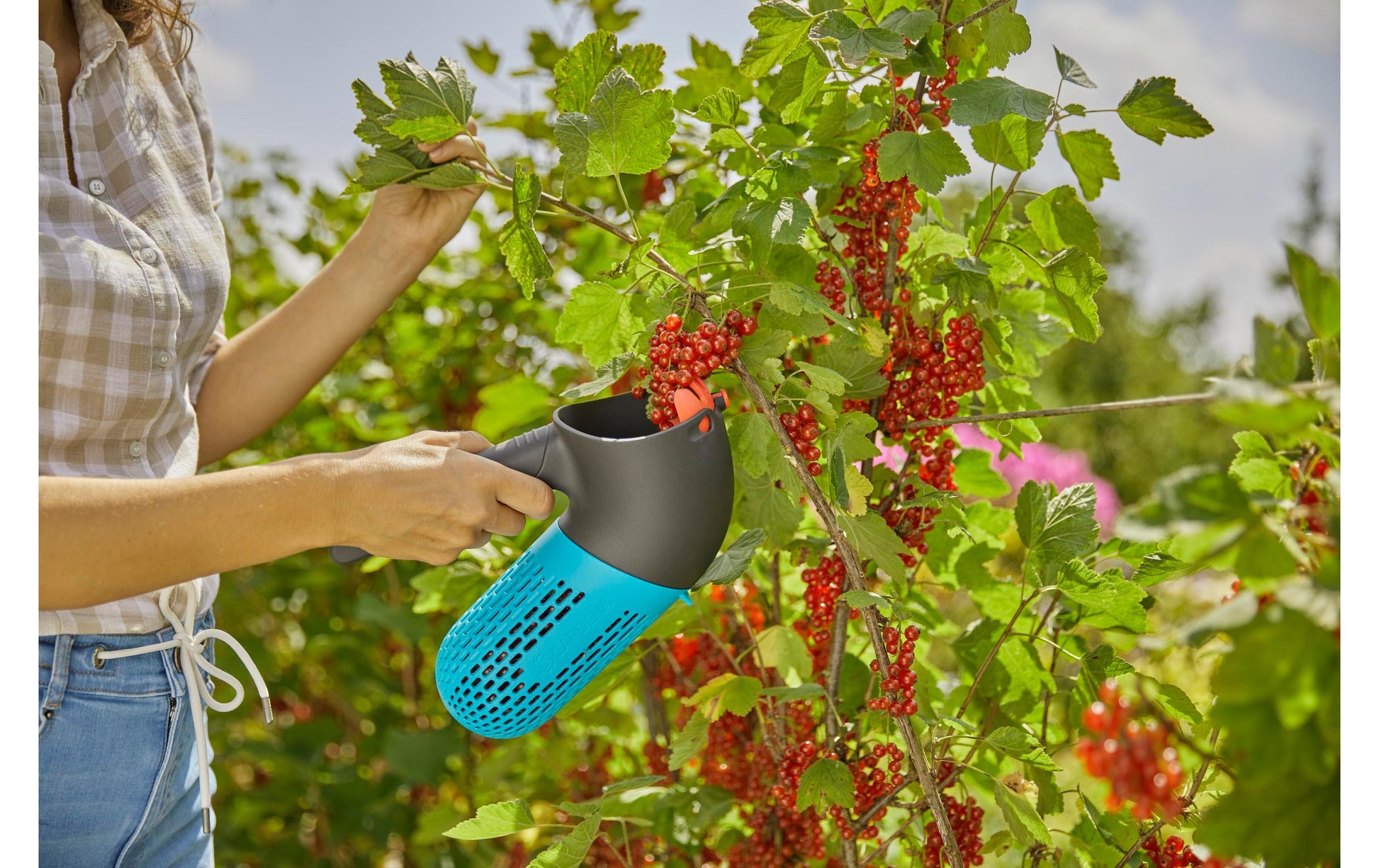 Gardena 17400-20 Beerensammler Combi – Breite 100 mm, Höhe 201 mm, Gewicht 0,23 kg – für Combisystem