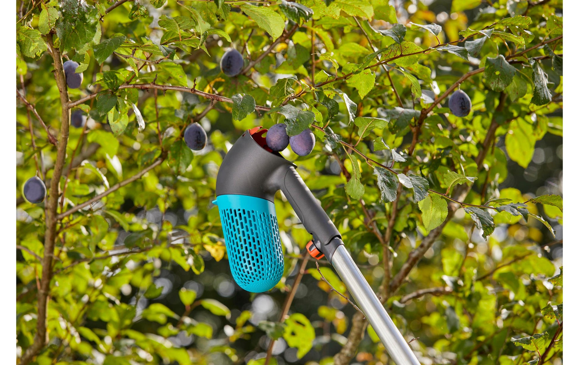 Gardena 17400-20 Beerensammler Combi – Breite 100 mm, Höhe 201 mm, Gewicht 0,23 kg – für Combisystem