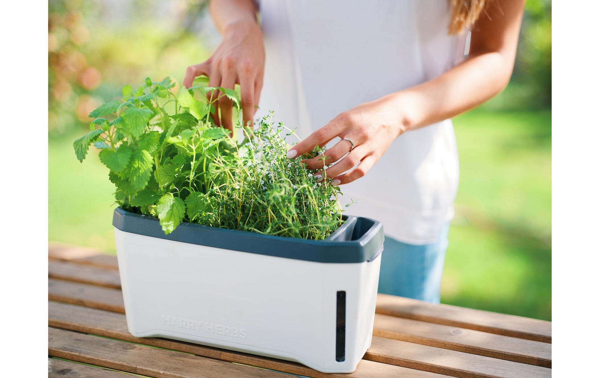 Gusta Garden HARRY HERBS Kräutertopf – 35,8 × 25 × 15 cm – Kunststoff, Weiss
