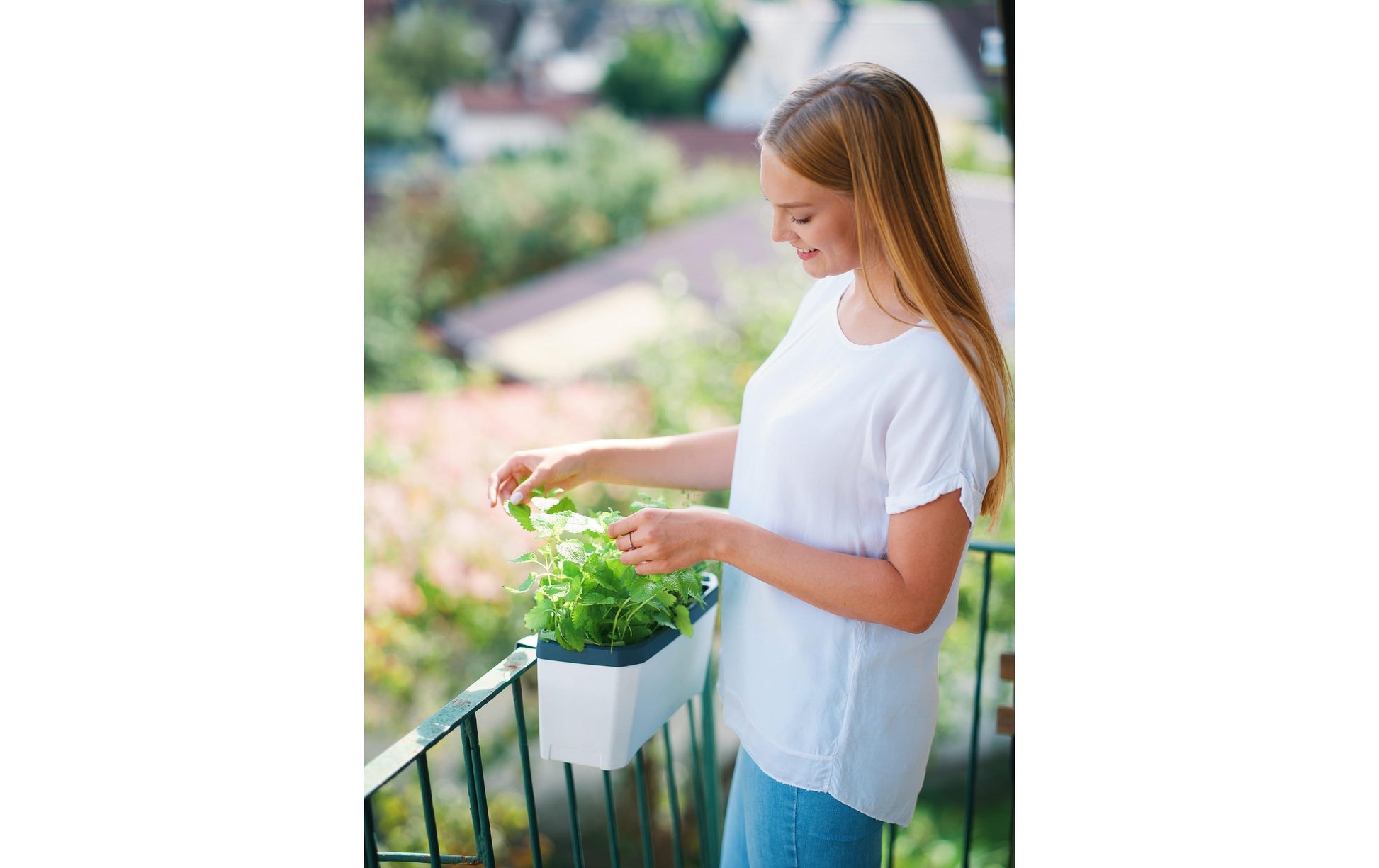 Gusta Garden HARRY HERBS Kräutertopf – 35,8 × 25 × 15 cm – Kunststoff, Weiss