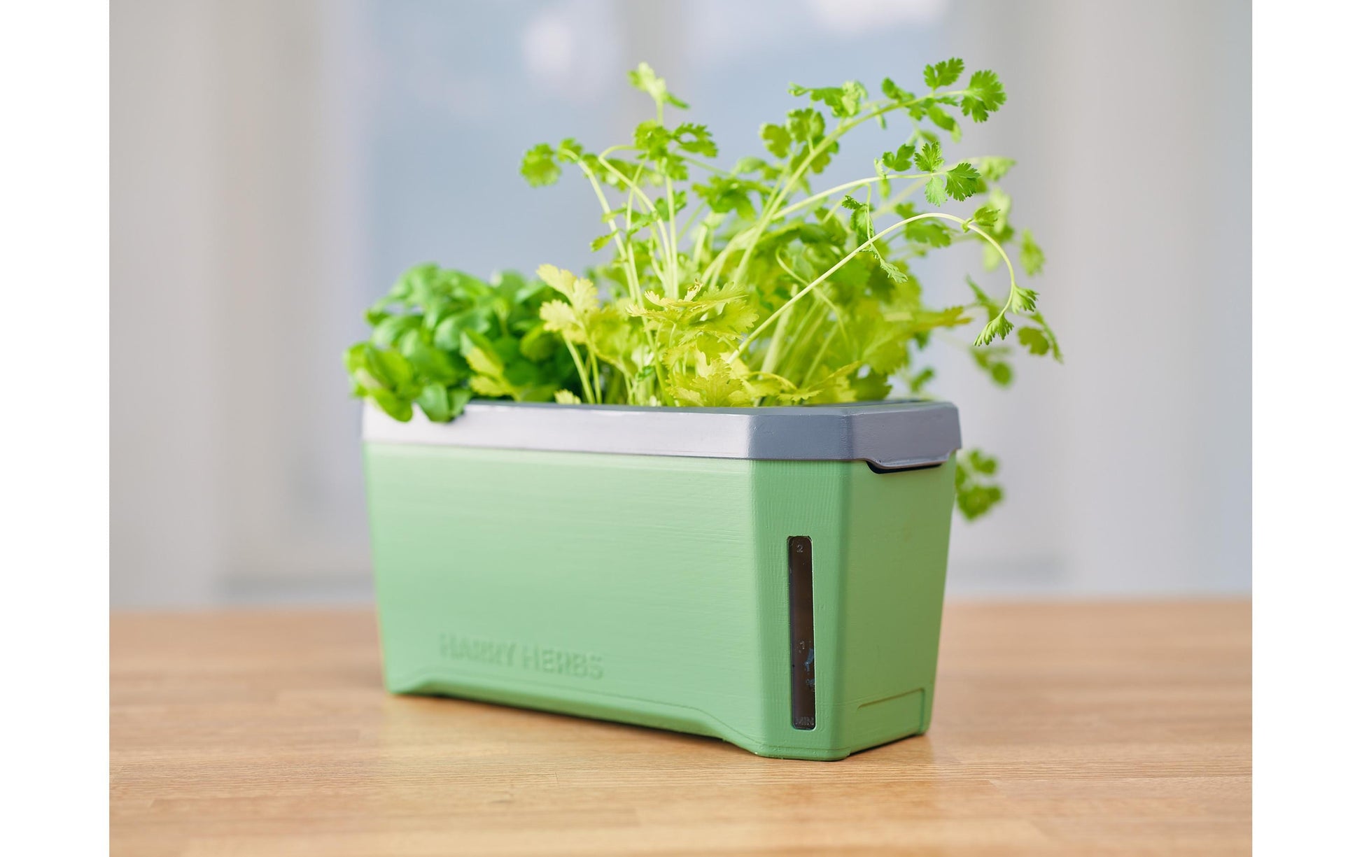 Gusta Garden Kräutertopf – 35,8 × 25 × 15 cm – Kunststoff, Dunkelgrün