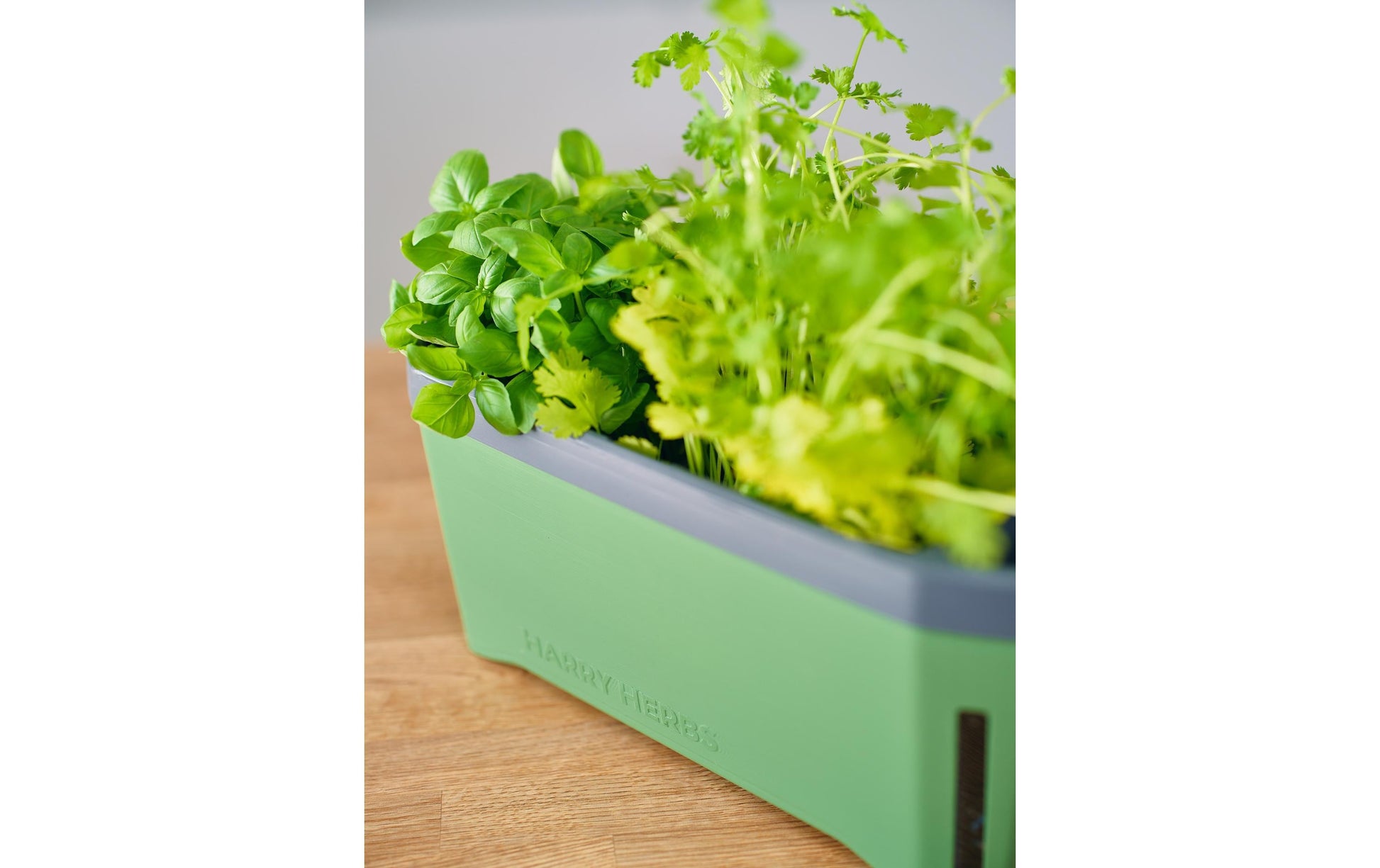 Gusta Garden Kräutertopf – 35,8 × 25 × 15 cm – Kunststoff, Dunkelgrün