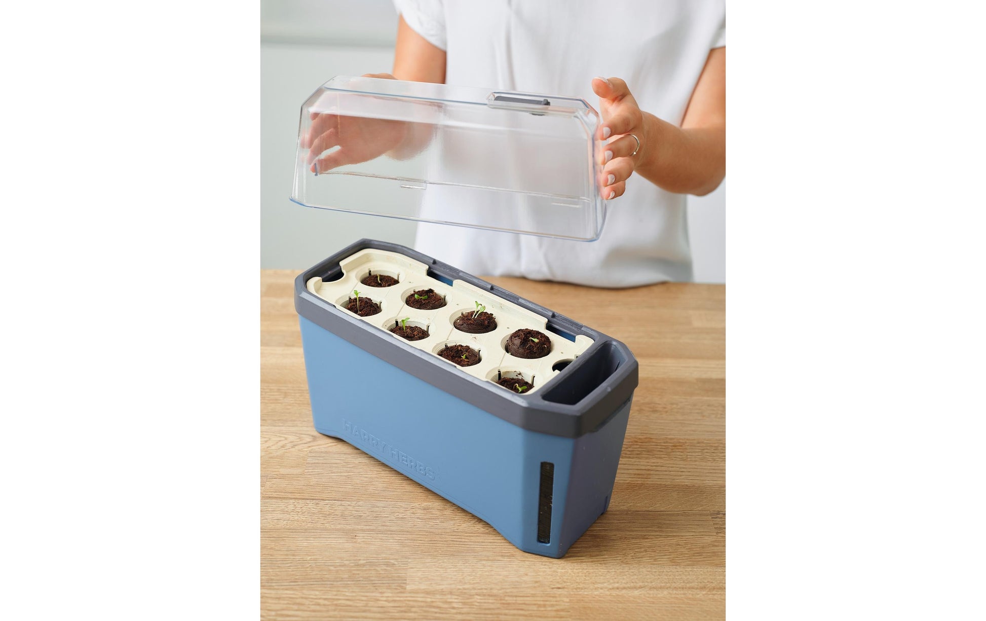 Gusta Garden Kräutertopf – 35,8 × 25 × 15 cm – Kunststoff, Blau