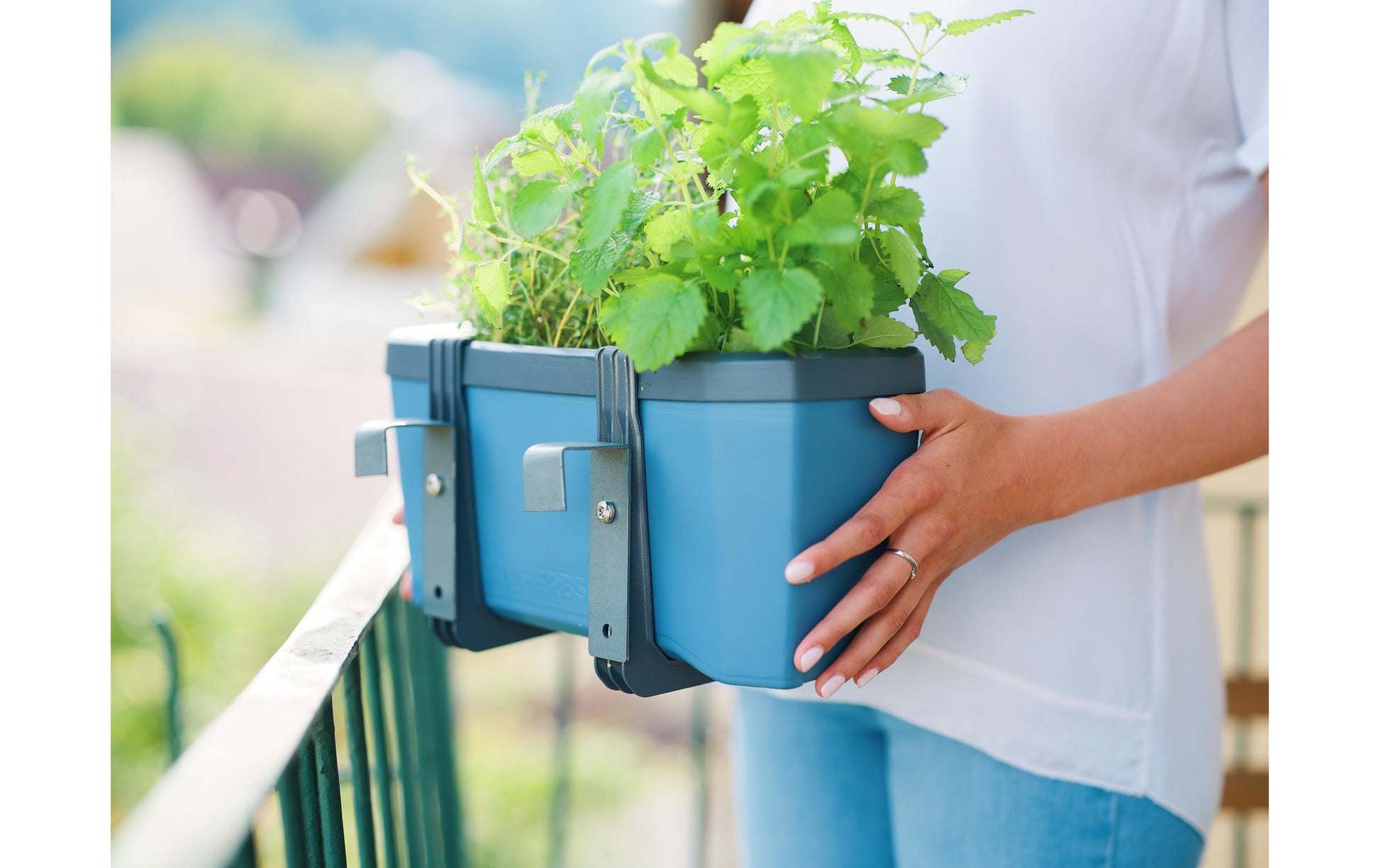 Gusta Garden Kräutertopf – 35,8 × 25 × 15 cm – Kunststoff, Blau