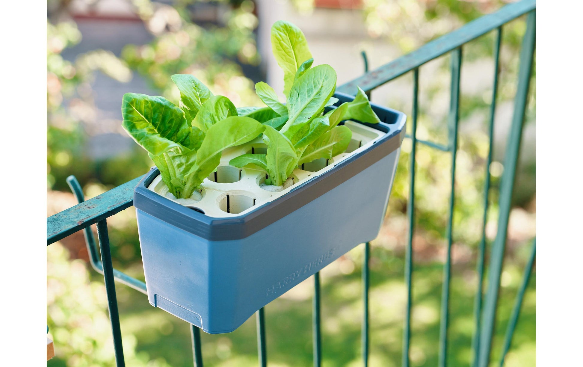 Gusta Garden Kräutertopf – 35,8 × 25 × 15 cm – Kunststoff, Blau