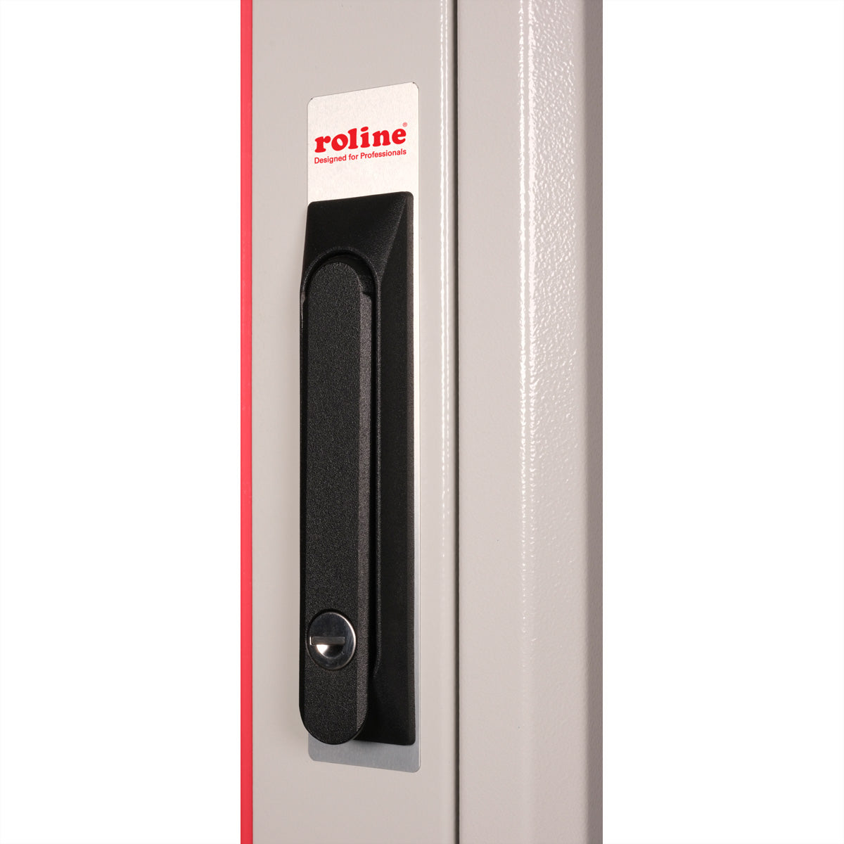ROLINE Basic – 19" Netzwerkschrank 42U, IP20, abschliessbar, 800 × 800 × 2010 mm, lichtgrau, Stahl