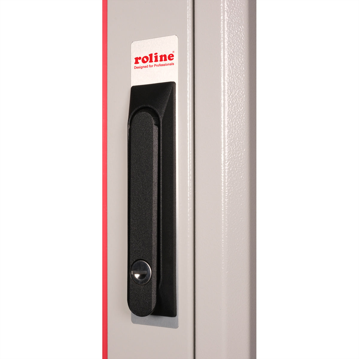 ROLINE Pro – 19" Netzwerkschrank 42U, IP20, abschliessbar, 600 × 600 × 2053 mm, lichtgrau, Stahl