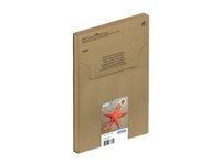 Epson Tintenpatronen-Multipack 603 (EasyMail)