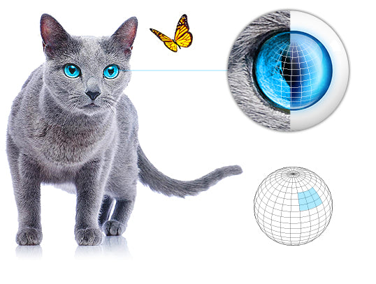 Fibaro FGMS-001 – Sensor – Bewegung, Kabellos