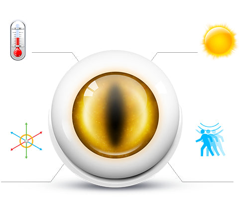 Fibaro FGMS-001 – Sensor – Bewegung, Kabellos