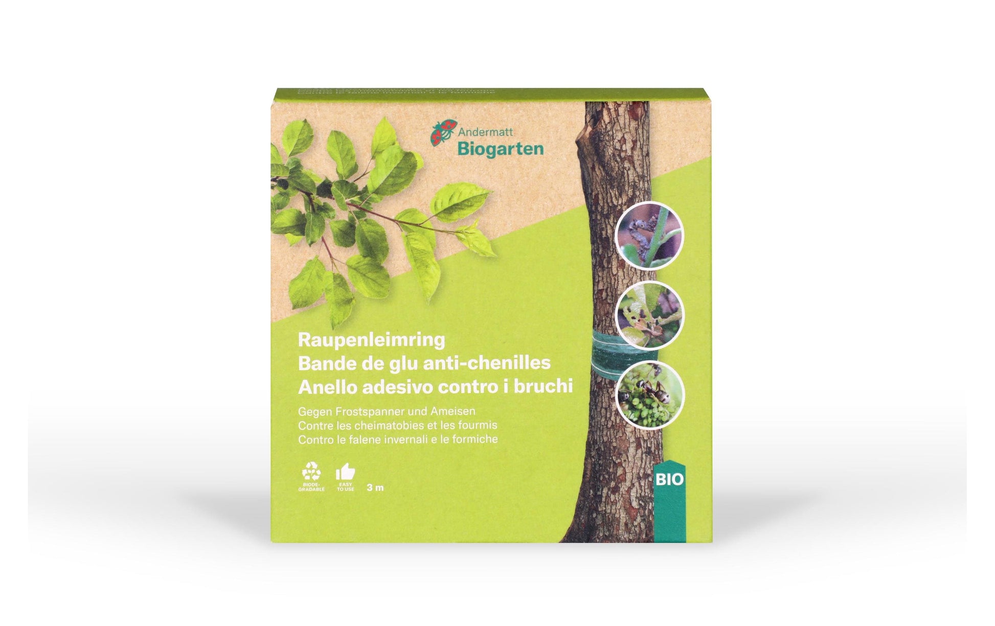 Andermatt Biogarten Insektenfalle Raupenleimring – 300 cm – grün – für Ameisen, Insekten
