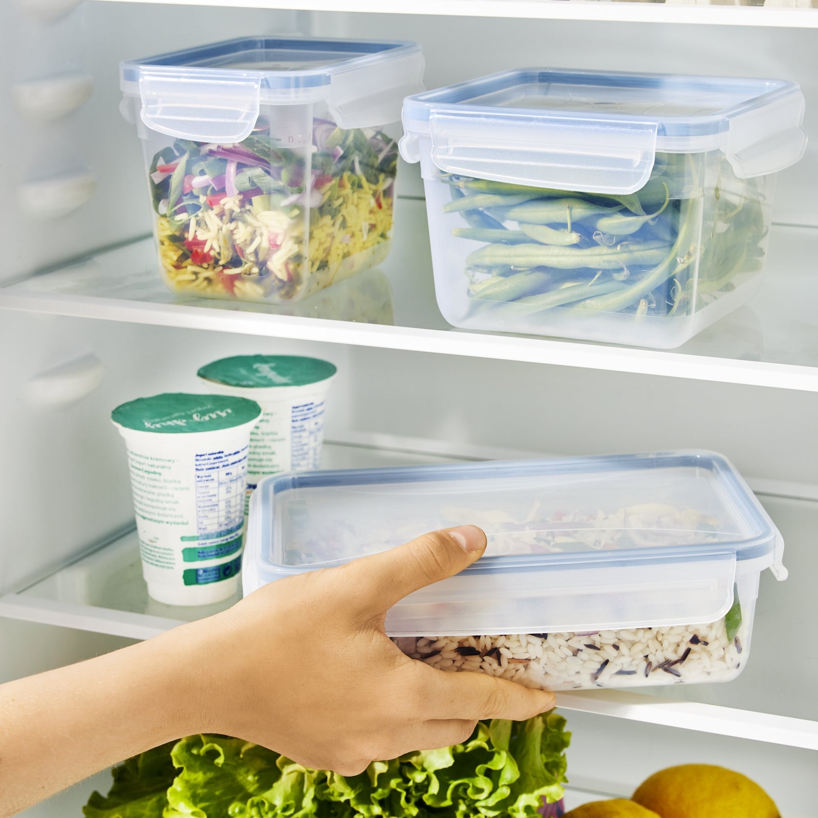 Rotho Kühlschrankdose Clic & Lock – 1,5 l – rechteckig – 23,9 × 7,1 × 16 cm – PP – transparent