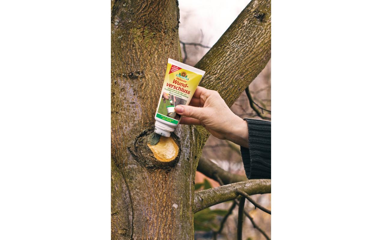 Neudorff Malusan Wundverschluss Flasche – 250 ml – für Obst