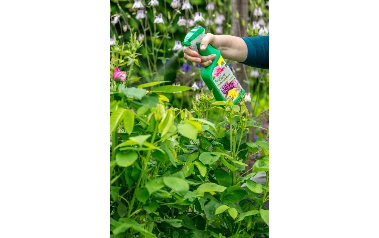 Neudorff Einzelnährstoffdünger Spraydose, 0,5 l, gebrauchsfertig, Bio – 1 Stück