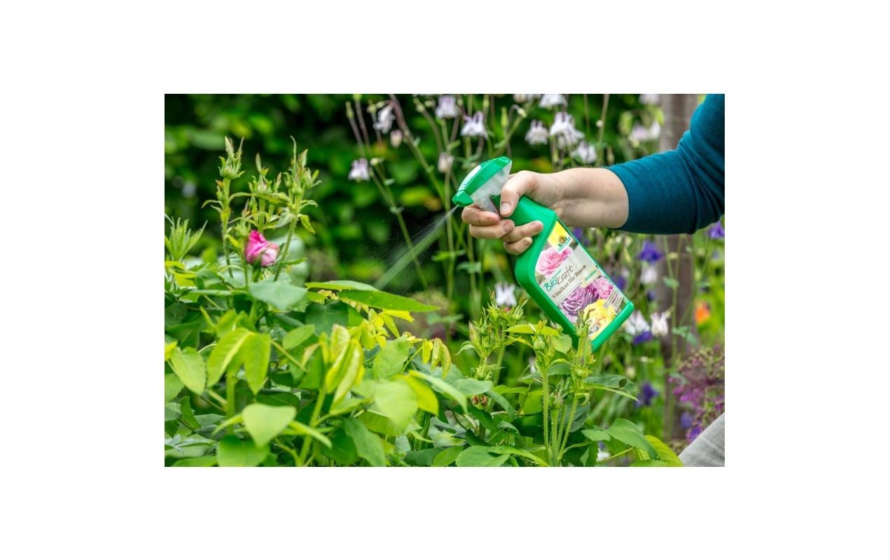 Neudorff Einzelnährstoffdünger Spraydose, 0,5 l, gebrauchsfertig, Bio – 1 Stück