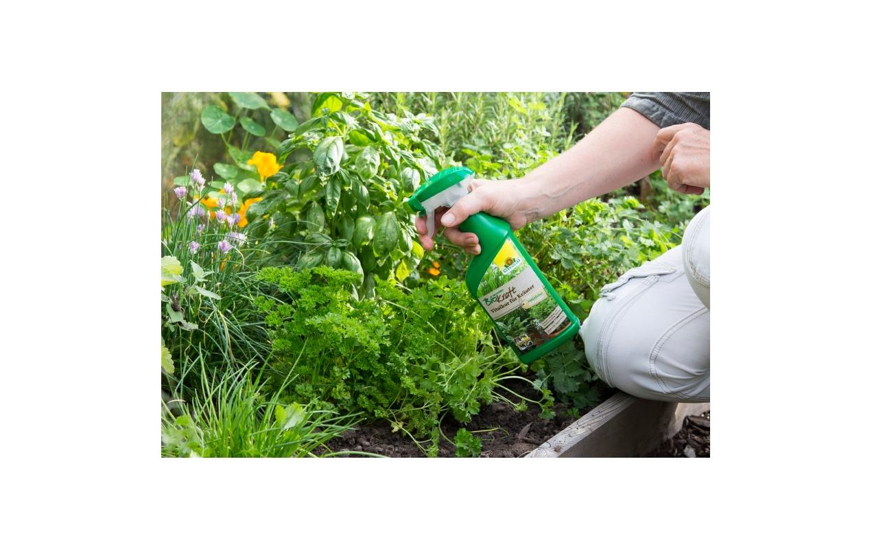 Neudorff Organischer Dünger, 0,5 l, flüssig, Bio – für Kräuter