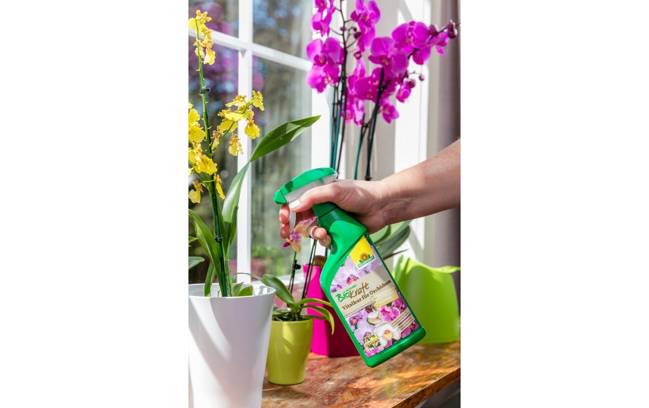 Neudorff Einzelnährstoffdünger Flüssig, 0,5 l, Bio, gebrauchsfertig – für Zimmerpflanzen – 1 Stück