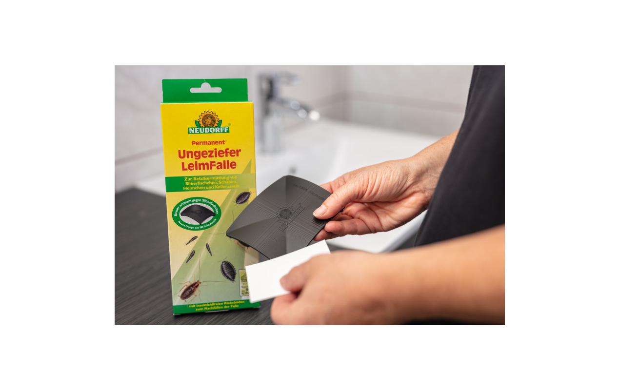 Neudorff Insektenfalle – 9 × 24 × 2,1 cm – schwarz – Fliegenpapier – für Insekten – 2 Stk.