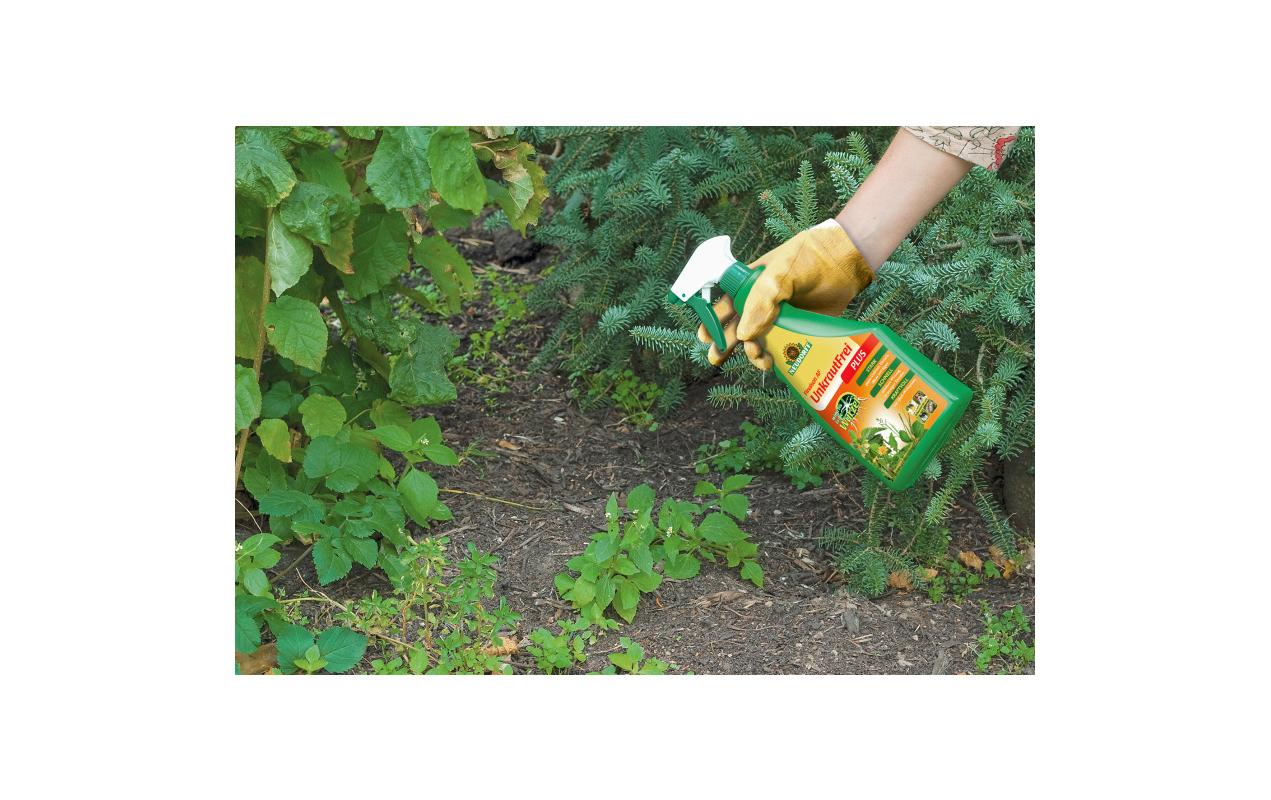 Neudorff Finalsan AF Unkrautfrei Plus – 750 ml – Spraydose – für Unkraut