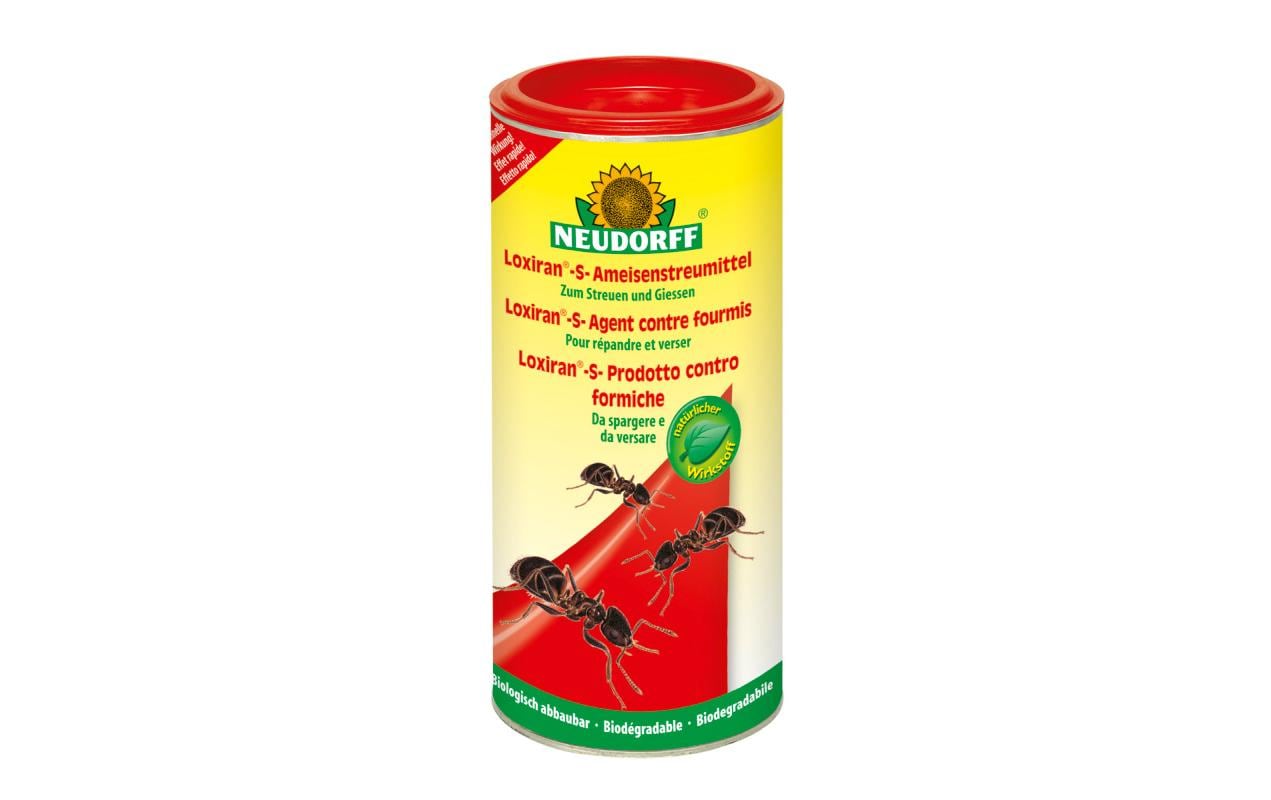 Neudorff Insektenfalle – 6 × 9 cm – transparent – für Ameisen