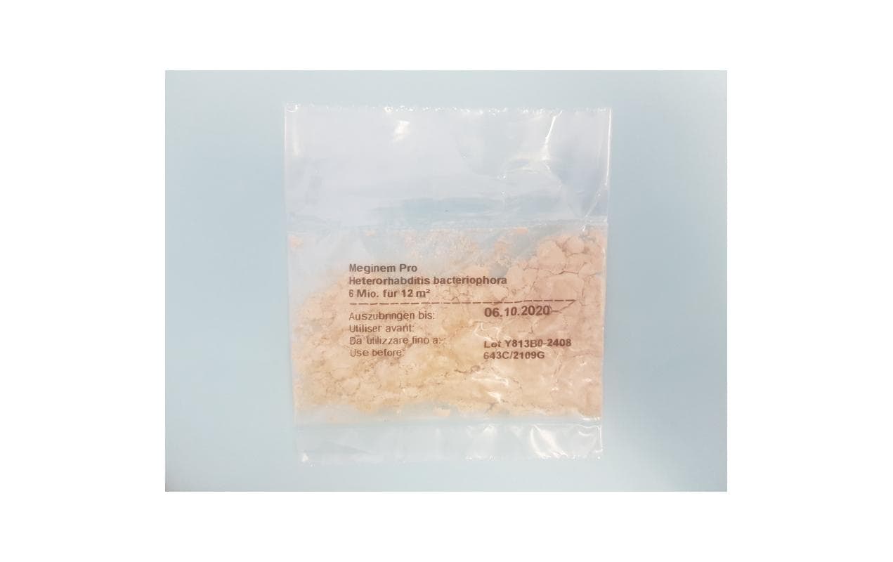 Neudorff Nematoden – Granulat – Bio – für Dickmaulrüssler