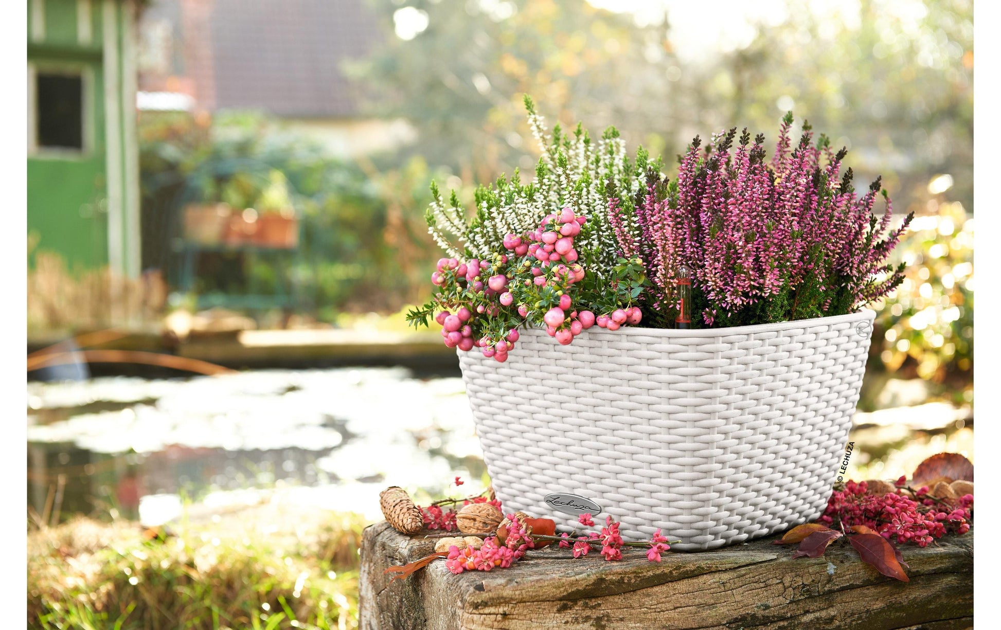 LECHUZA BACINO Cottage Pflanzkübel – 30 × 30 × 18 cm, 6000 ml – Kunststoff, weiss