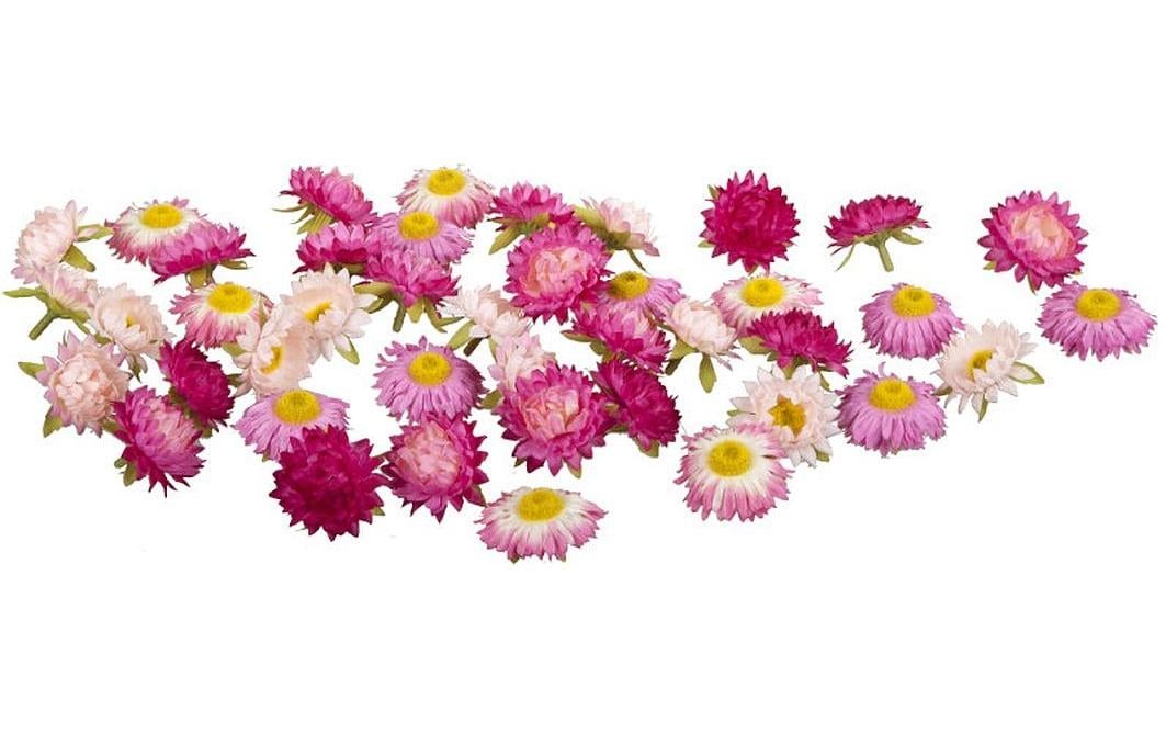Dekomat AG Künstliche Wildblumenpflanze, rosa, Ø 5 cm, Set à 36
