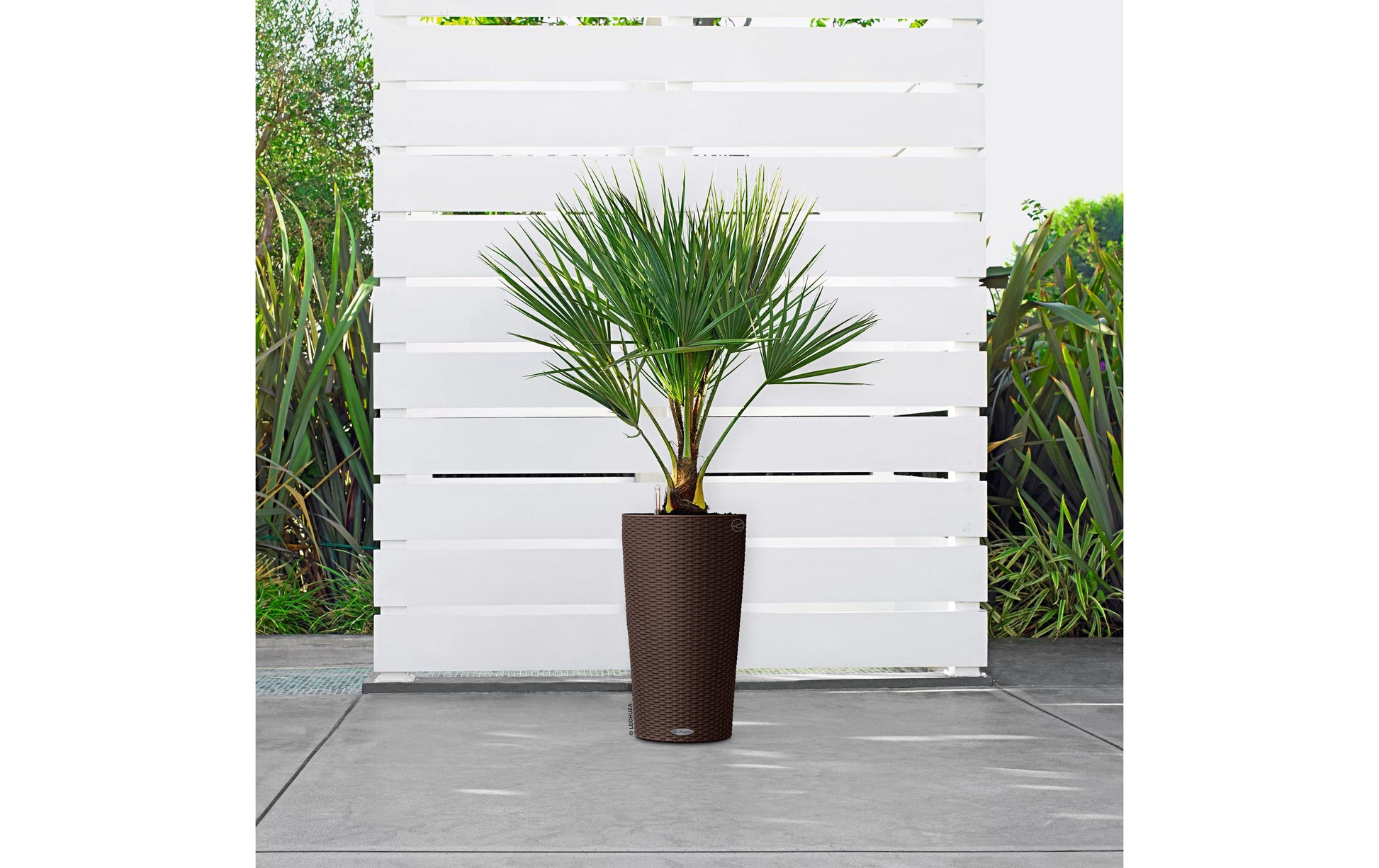 LECHUZA CILINDRO Pflanzgefäss – Ø 23 × 41 cm – Kunststoff, braun