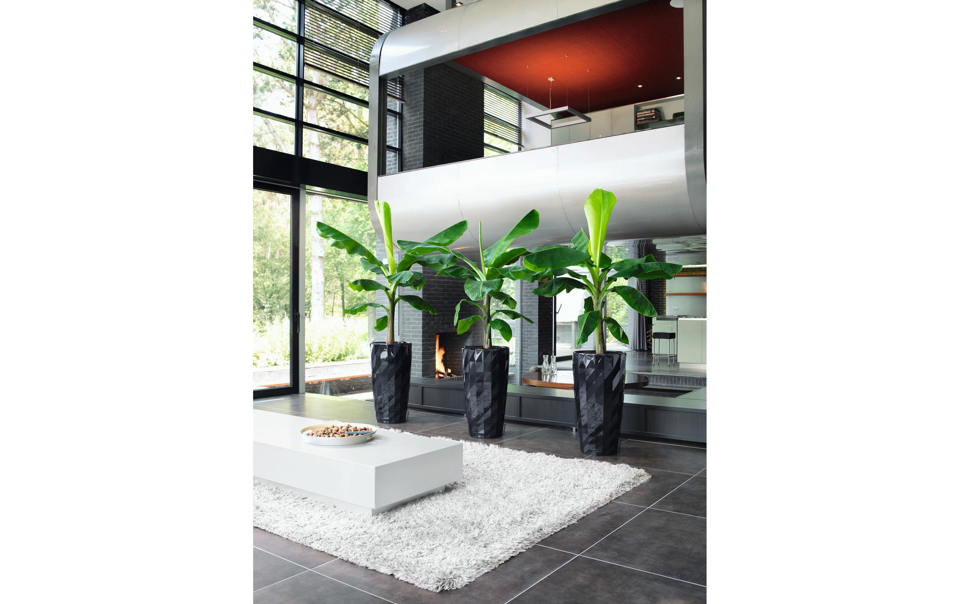 LECHUZA Schale – Kunststoff, schwarz – Ø 40 × 75 cm
