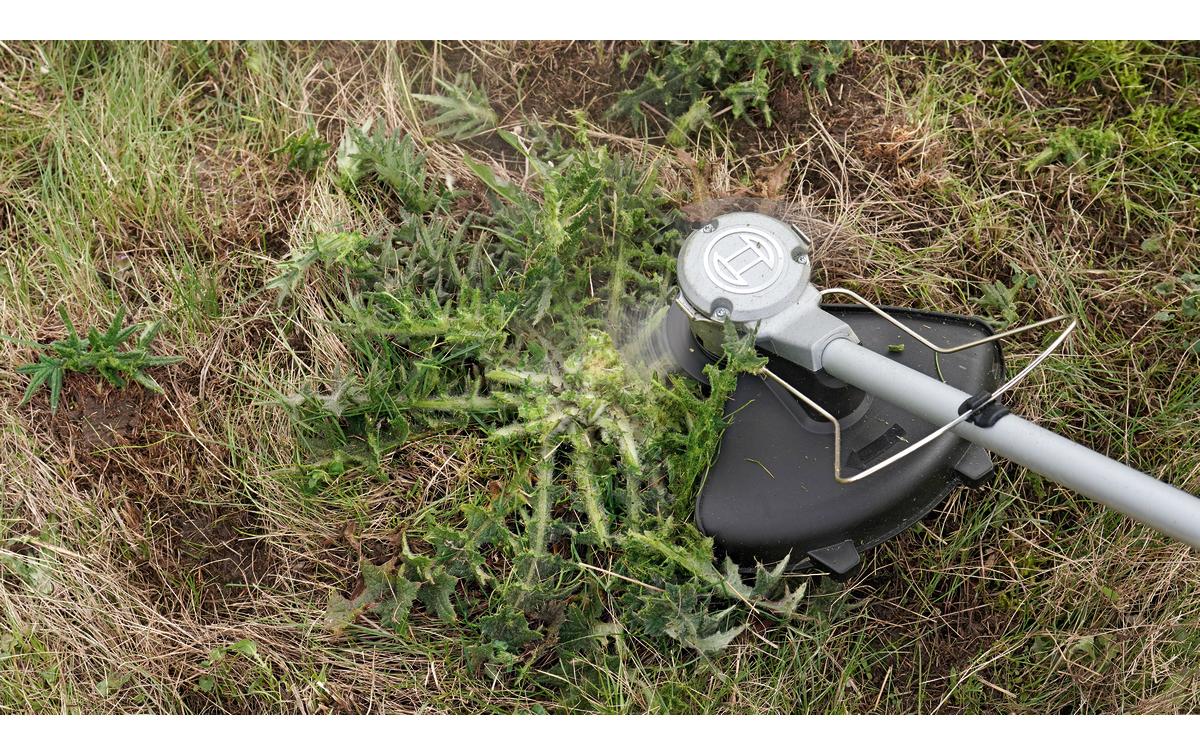 Bosch AdvancedBrushCut Akku-Freischneider – 36 V – Schnittbreite 300 mm – 2 Ah & Ladegerät